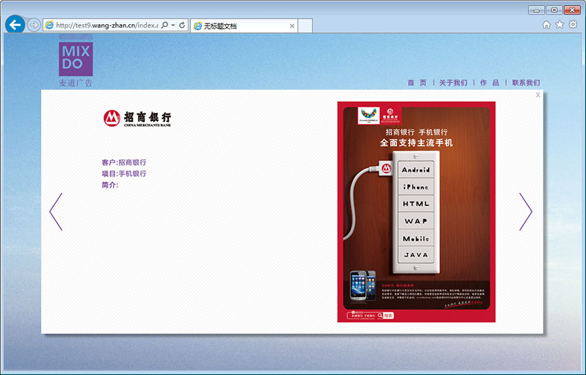 麦道广告网站建设案例 (案例设计) 2011年